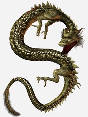 Fototapeta premium eastern dragon