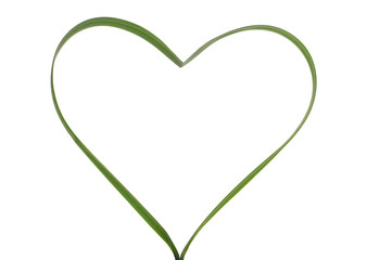 green heart - 2007980