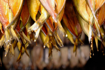 kipper tails © Deborah Benbrook