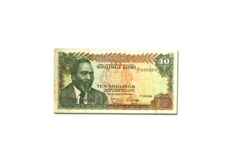 schelling kenya