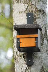 nest box