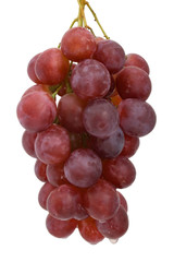 Fototapeta premium bunch of red grapes
