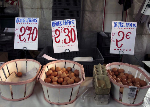 fresh farm eggs french village market
