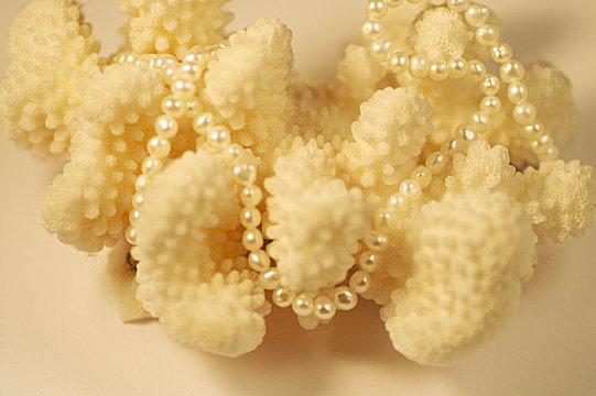 colier de perle