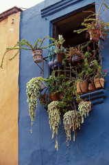 san miguel de allende street balcony