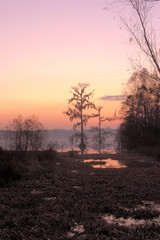 Obraz premium lake martin sunrise