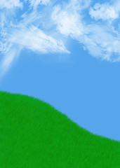 Obraz na płótnie Canvas grassy hill