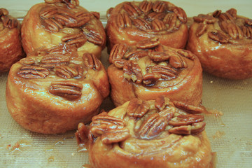 pecan topped sticky buns