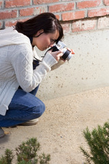 Fototapete bei efototapeten.de bestellen   