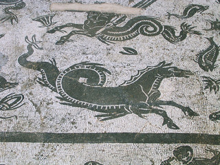 hippocampe sur une mosaïque romaine