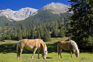 zu zweien schmeckts besser © Hans und Christa Ede