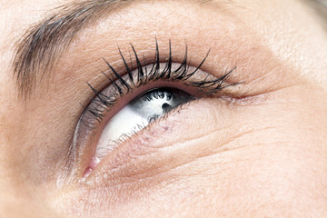 eye