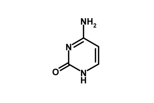 cytosine - dna - rna
