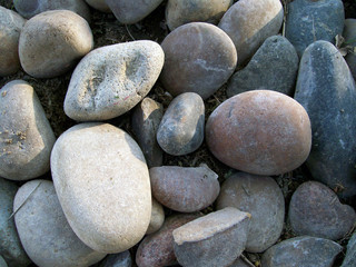 rocks