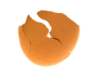 cracked  egg shell