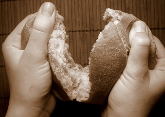 hands breaking the fresh roll of dark bread