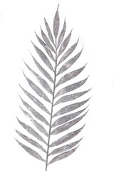 Fototapeta premium silver flower