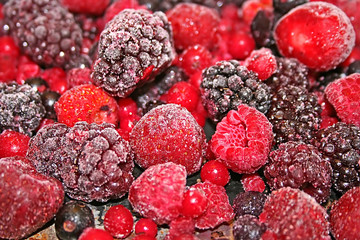 frosted berries