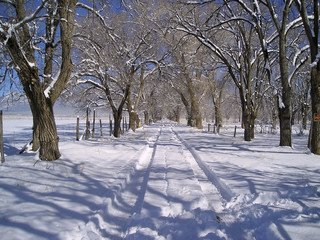 rural winter road
