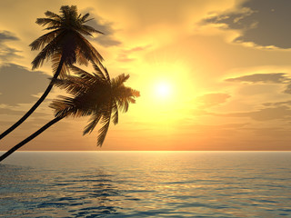 Obraz na płótnie Canvas palms_sunset2
