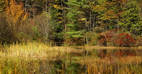 autumn on the lake