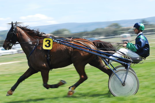 trot attel&eacute;