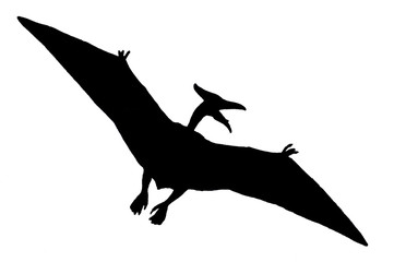 dinosaure volant © pgm