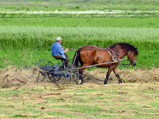 landarbeit