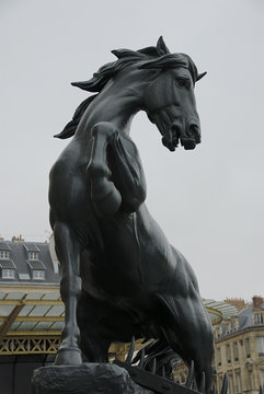 horse statue in paris