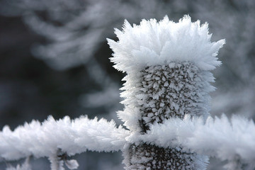 givre