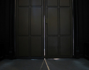 gates or doors - 2043947