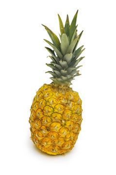 ripe pineapple isolated on the white background
