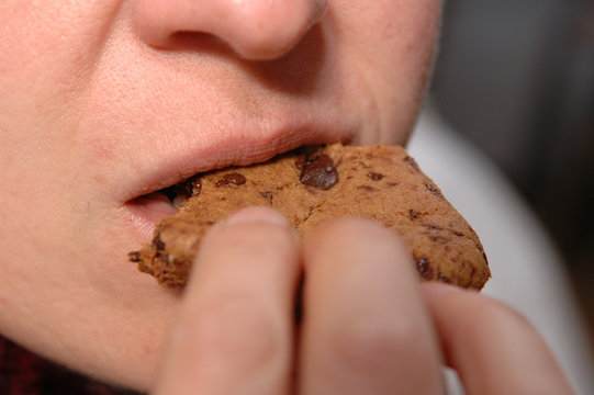 d&eacute;gustation d'un cookie