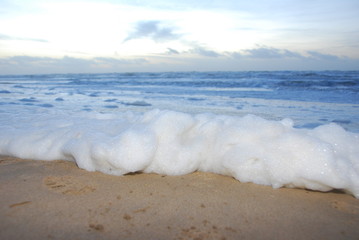 foam on the beach