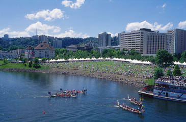 Naklejka premium rose festival