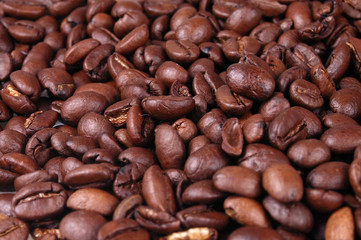 coffee beans 3