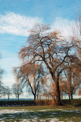 Obraz premium ceperley meadow, stanley park