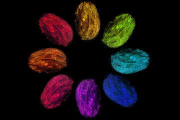 digital flower © Ube