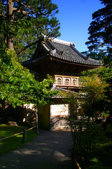 japanese tea garden, san francisco