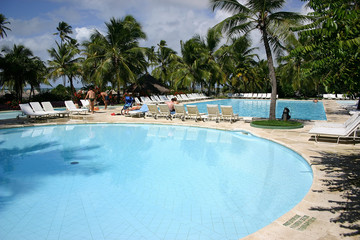 piscine et cocotiers