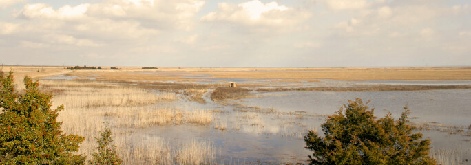 panoramic view of marsh