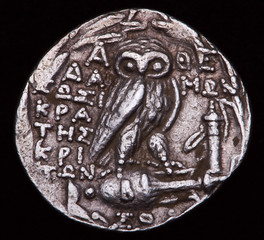 greek silver coin owl
