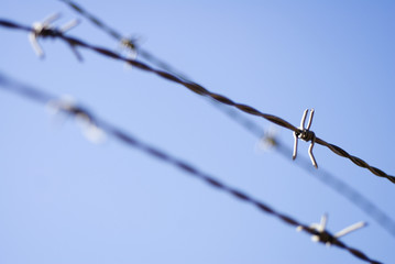 barb wire