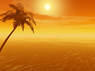 sunset_palm