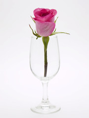 glass of rose