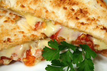 toasted cheese and tomato melts 2