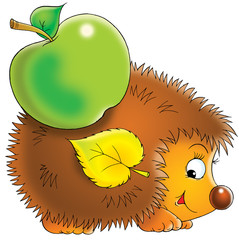 hedgehog © Alexey Bannykh