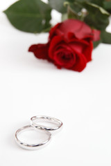 wedding rings and flower