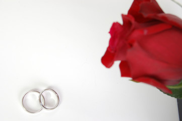 wedding rings and flower