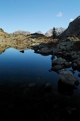 lac